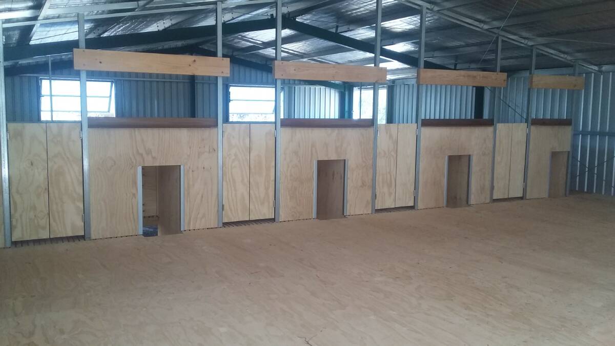 COME INSIDE: The almost completed four-stand woolshed on Trevor and Sarah Ryan's Richmond Merino Stud at Quandialla.