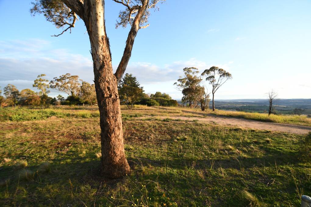 COMING SOON: Part of the site for the proposed go-kart track on Mount Panorama. Photo: CHRIS SEABROOK
