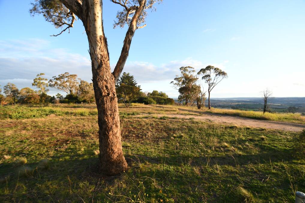 DEBATE: The site for a proposed go-kart track on Mount Panorama. Photo: CHRIS SEABROOK