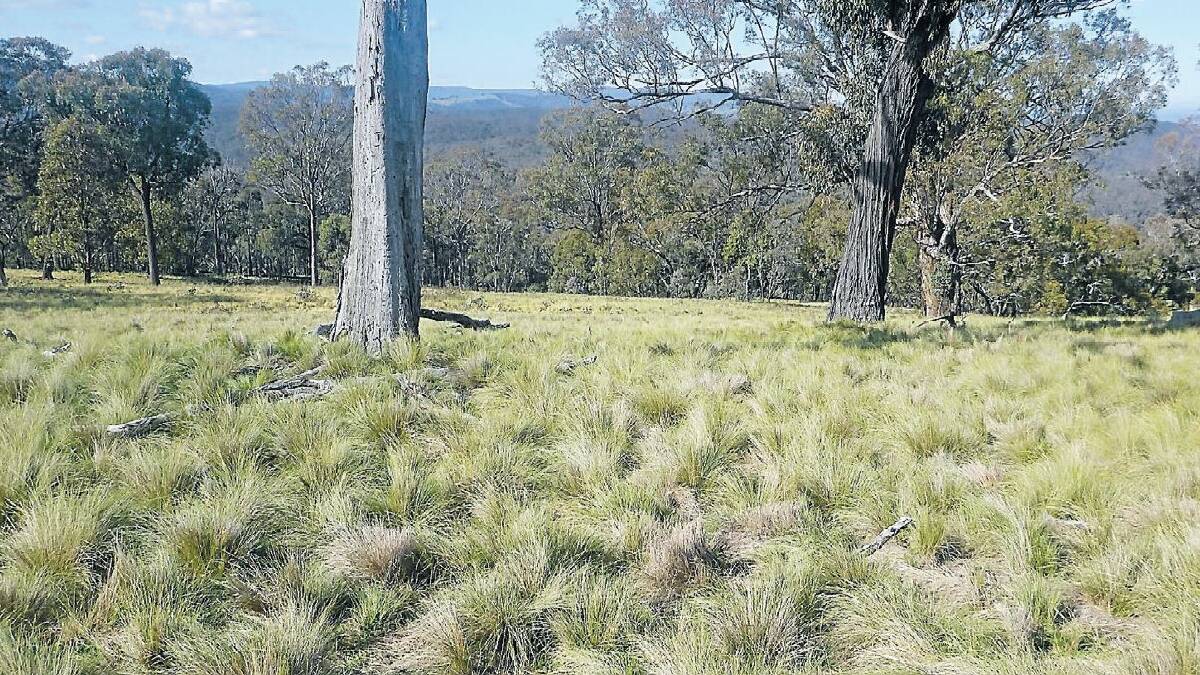Don't get into a fine mess, county council warns landholders