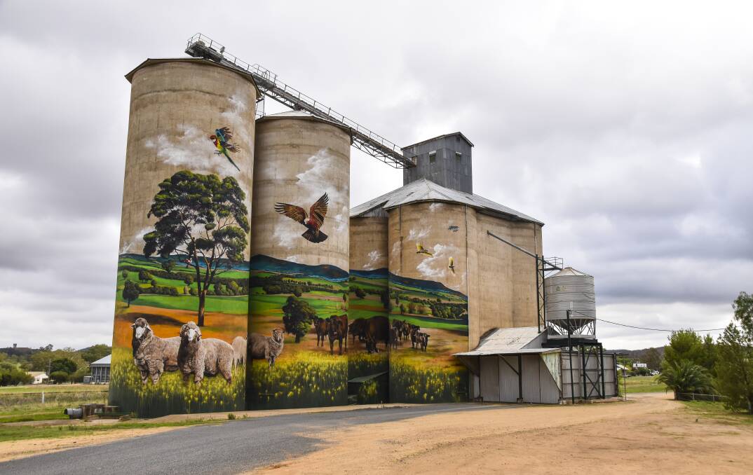 TOP SHOT: Photos like this one, Grenfell silo mural by Heesco Khosnaran, might be submitted in Central West is Best 2020. The artwork is an adaption of photographs taken by local photographer D.A Yates. This privately commissioned artwork was funded by Grenfell Commodities for all to enjoy. Photo: HELEN CARPENTER AOW / MEDIA ASSOCIATE