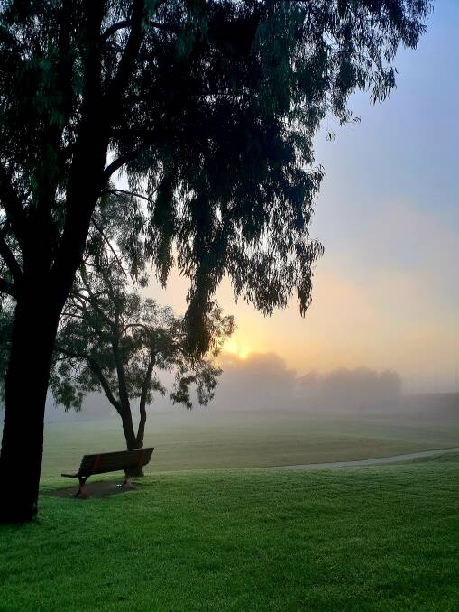 HERE COMES THE SUN: The sun glows in the morning fog by the Macquarie River. Photo: SHARYN SEMMENS