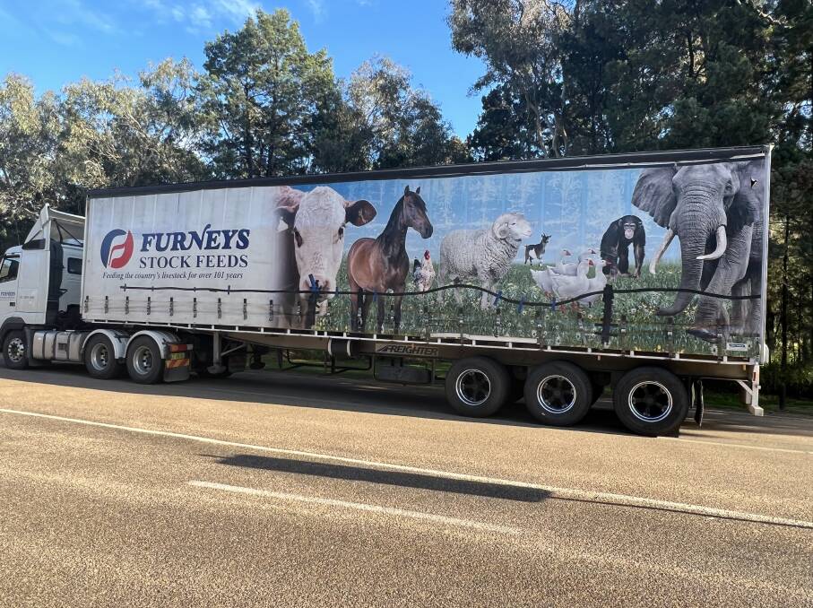A semi that delivers the food to all the animals at Dubbo Zoo, including the pictured Merino ram.