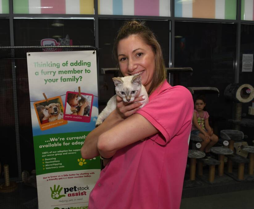 NEW HOME: Bathurst PETstock manager Lauren Brooker with four-month-old kitten Vanilla.  Photo: CHRIS SEABROOK 010819cpets2a