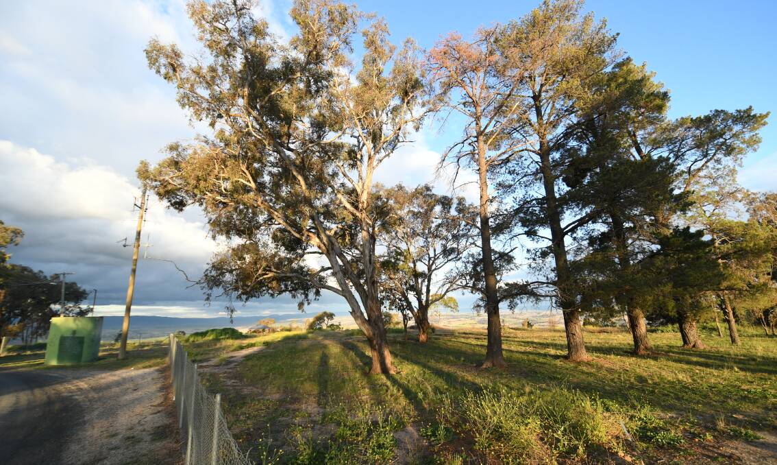 COMING SOON?: Part of the site for the proposed go-kart track on Mount Panorama. Photo: CHRIS SEABROOK