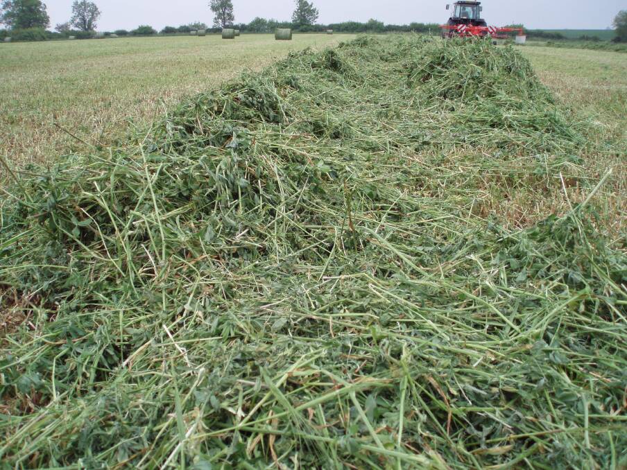 Making lucerne hay near Canowindra.
