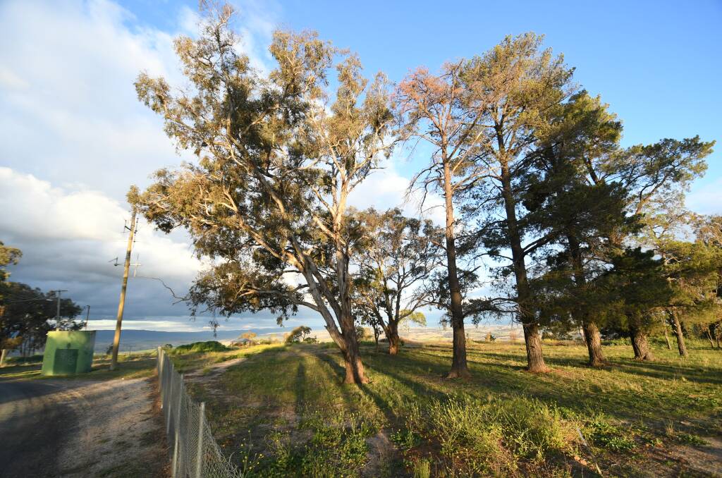 DEBATE: Part of the site for the proposed go-kart track on Mount Panorama. Photo: CHRIS SEABROOK