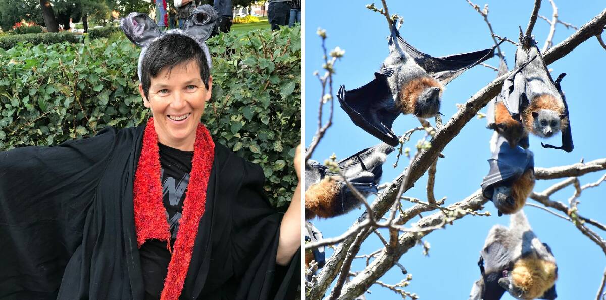 Kirsty Lewin dressed as a bat for the Bat Night held in 2018 (picture by Tracy Sorensen) and flying foxes in Machattie Park last year (picture by Rachel Chamberlain).