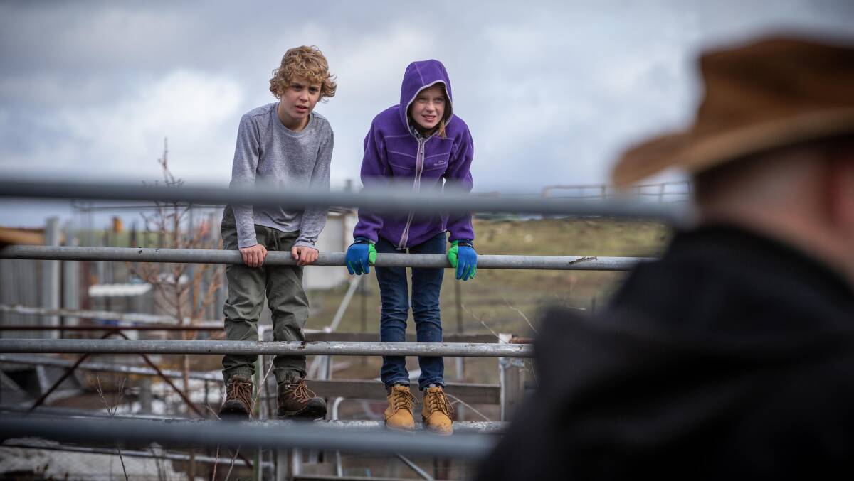 FARM FUN: Cameron Thwaite, 9, and Holly Starling, 10, watch cattle during their stay on a property near Bathurst. Photo: DAVID PORTER