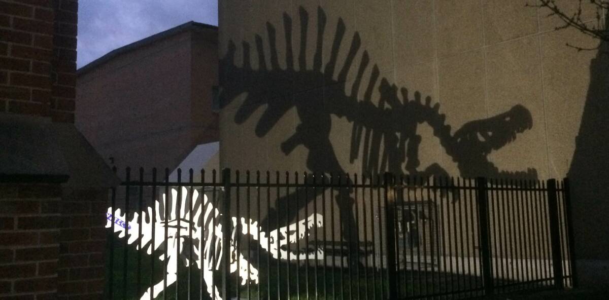 SNAPSHOT: Another photo from reader Sheree Ashcroft, this one showing a beast in the shadows. 082516dinosaur