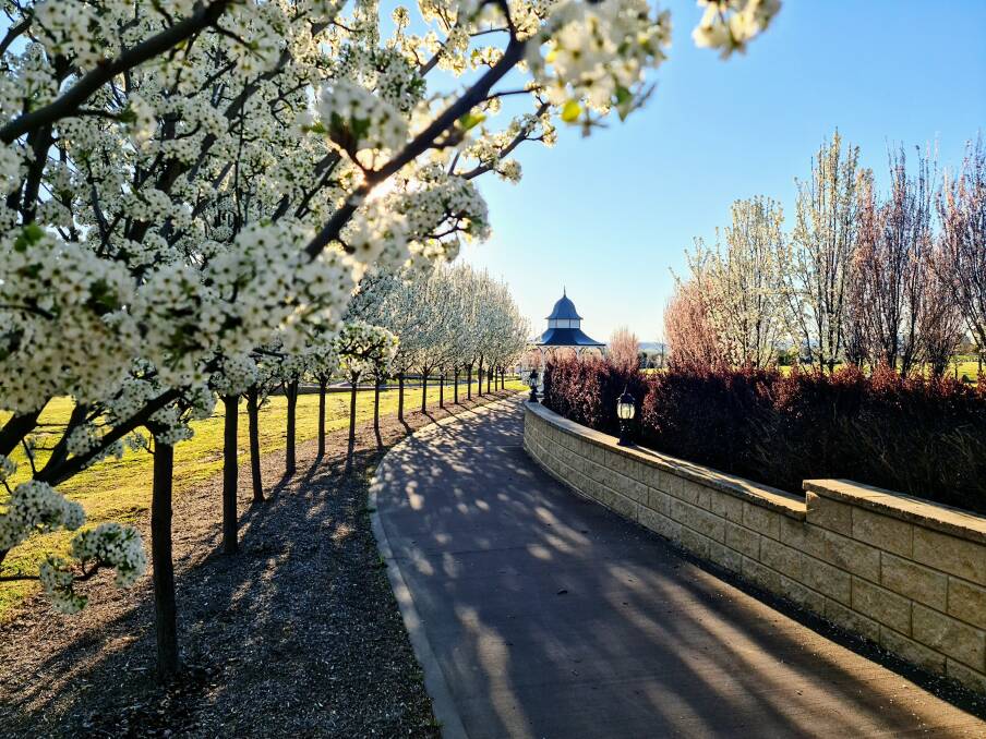 QUICK CHANGE: Spring is set to disappear in Bathurst, at least temporarily. Photo: MEL COX