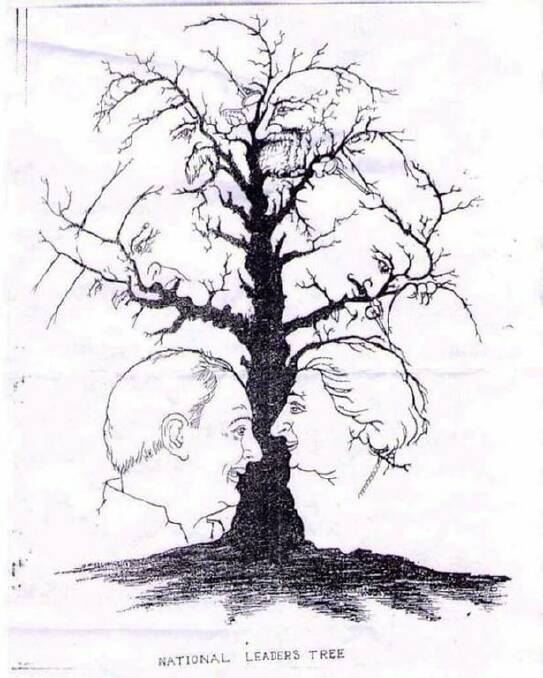 BRANCHING OUT: Just for fun. How many faces can you count on this tree?