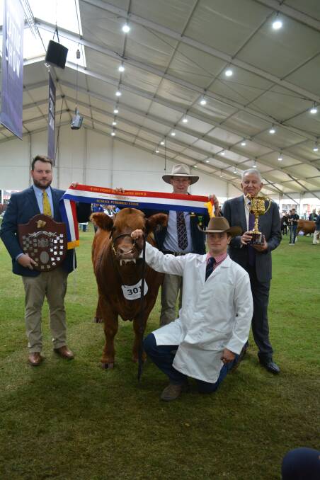 WIN: Judge Ben Davies from Thomas Foods International with the grand champion school steer held by Bailey Ryan, Scots All Saints College, and sashed by RAS councillor Alastair Rayner and Paul Lederer.