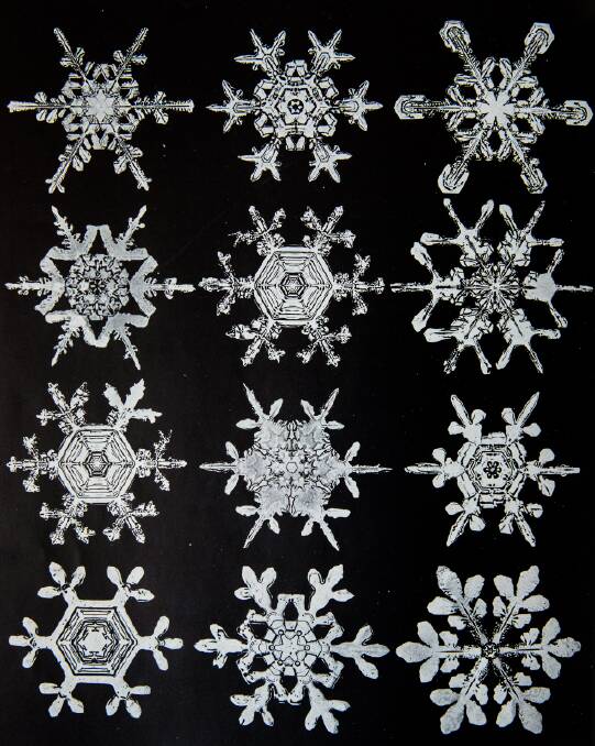 UNIQUE: These actual images of individual snowflakes under a microscope are a cause for wonder.