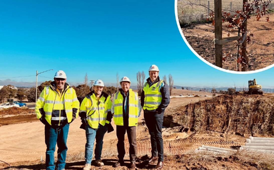 PROGRESS: Member for Bathurst Paul Toole (second from right) with Minister for Regional Roads and Transport Sam Farraway (right) and project managers of the Great Western Highway upgrade. INSET: One of the new trees.