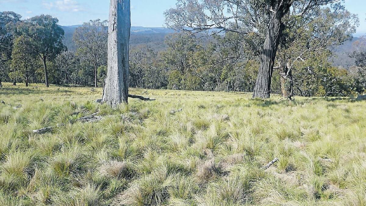 FAIR GO: Reader Bernice Judge says farmers aren't the only landholders who should be facing tougher weed penalties.