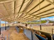 OUT OF THE WEATHER: A covered sheep handling facility is a great investment for this Riverina property and has achieved a 100 per cent tax allowance.