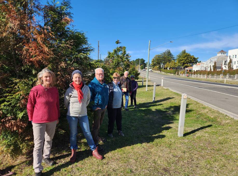 Medlow Bath's Catherine Vaulbell, Deb and Russell Brown, Carol Prior, Shane Porteous and Carlene Martin pictured early in May beside trees due for the chop. Picture by Jennie Curtin
