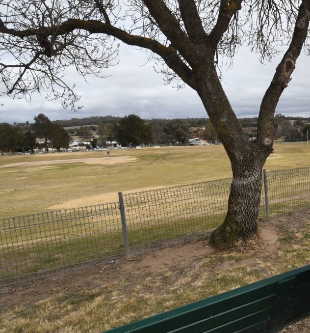 KEEP ON THE GRASS: Bathurst Regional Council is considering the future of the George Park precinct, which is used by Aussie Rules and cricket players.
