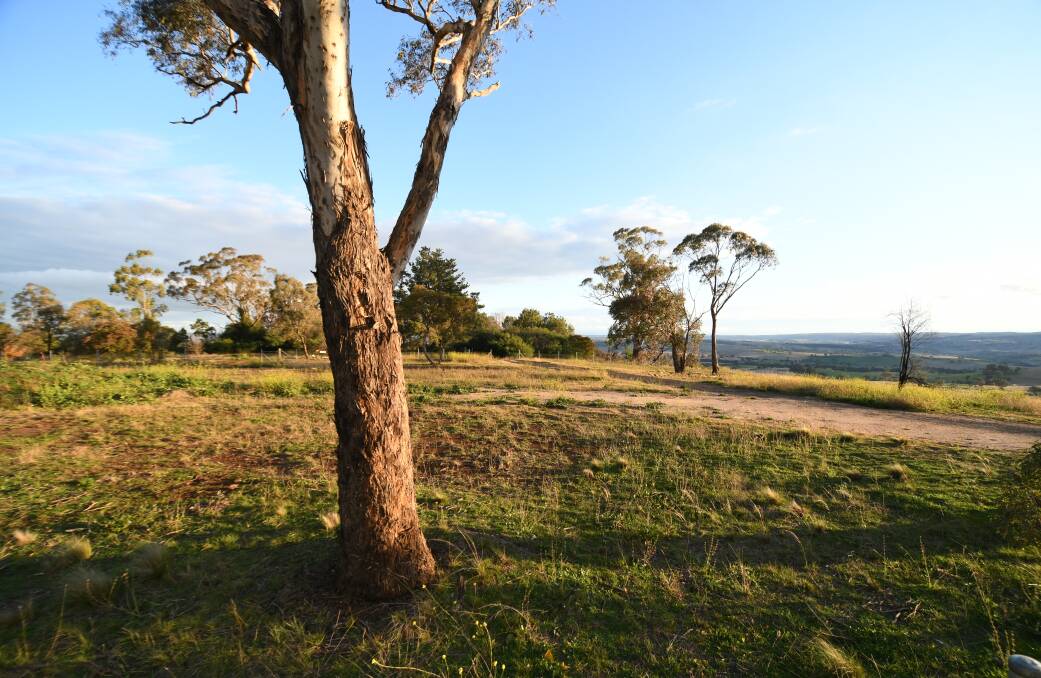 COMING SOON?: Part of the site for the proposed go-kart track on Mount Panorama. Photo: CHRIS SEABROOK