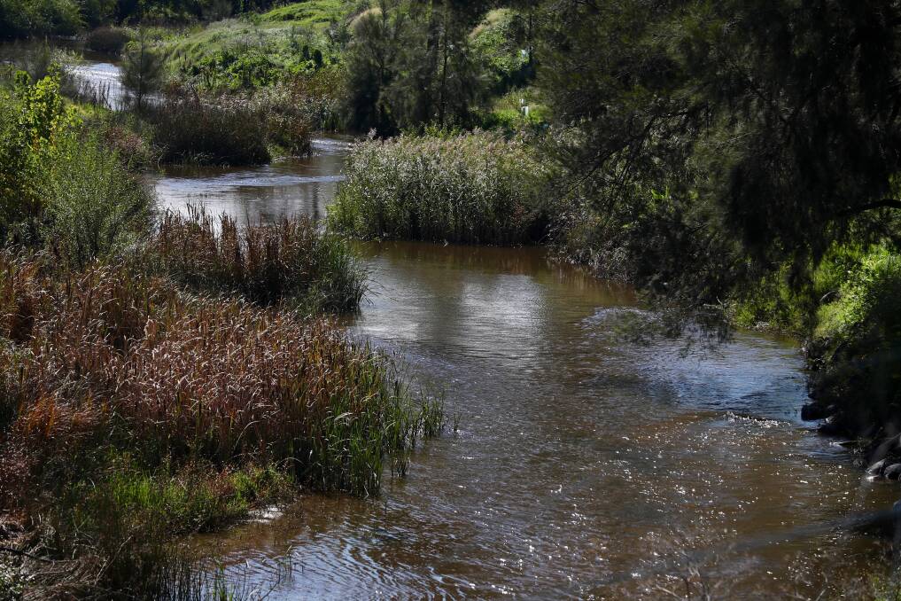 LONG-TERM VIEW: Greening Bathurst chair Ashley Bland has offered the organisation's suggestions to Bathurst Regional Council about the water problems facing the city. Photo: PHIL BLATCH