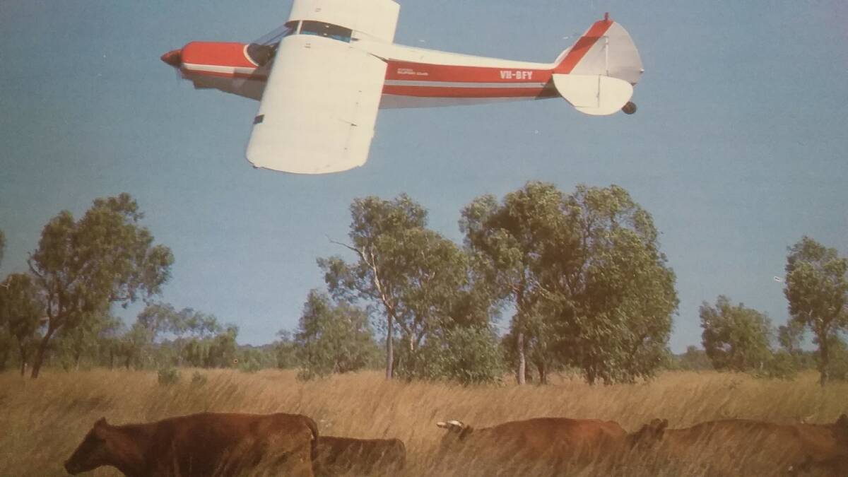 UP IN THE AIR: The Burdekin district in Queensland has been ravaged in recent times. This Cessna muster is a regular job in more normal seasons.