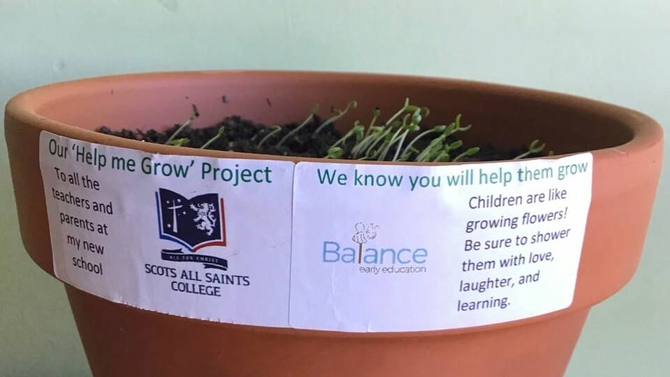 Blooming brilliant idea from Balance helps children make kindy leap