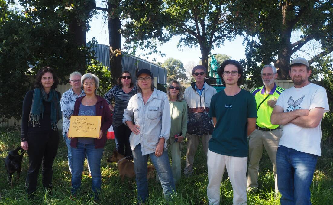 LEAVE THEM BE: South Bathurst residents protested against the removal of oak trees along Bant Street back in April. Photo: SAM BOLT