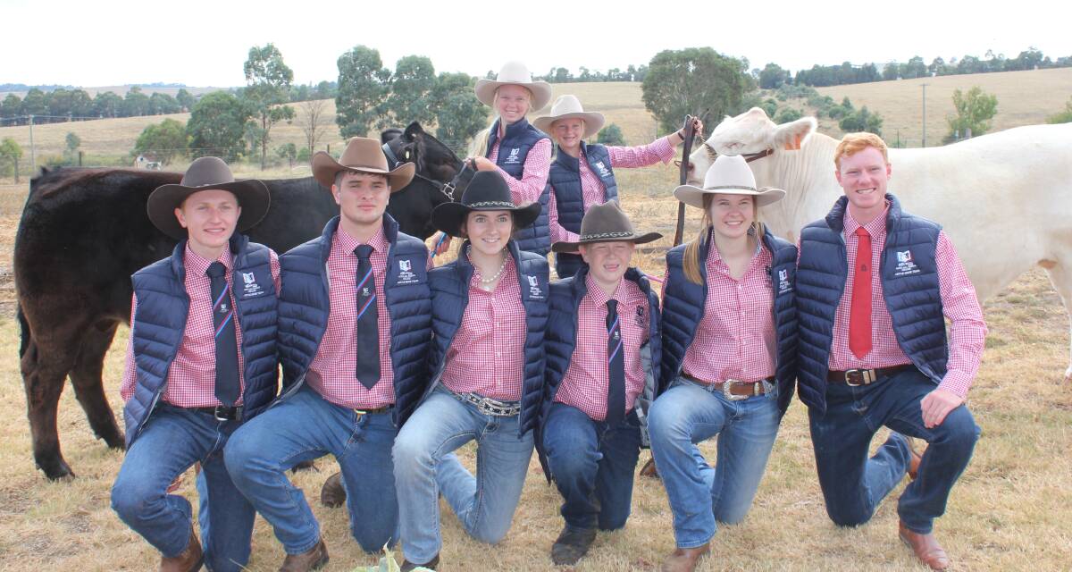 TEAM PLAYERS: Jake Mawhood, Oberon; Bailey Ryan, Oberon; Maddison Burns, Wallerawang; Josh Kidd, Bathurst; Alysa Cranston, Bathurst; Will Mitchell, Bourke; and (back) Felicity and Victoria Webb, both of Oberon, are some of the members of the cattle team.