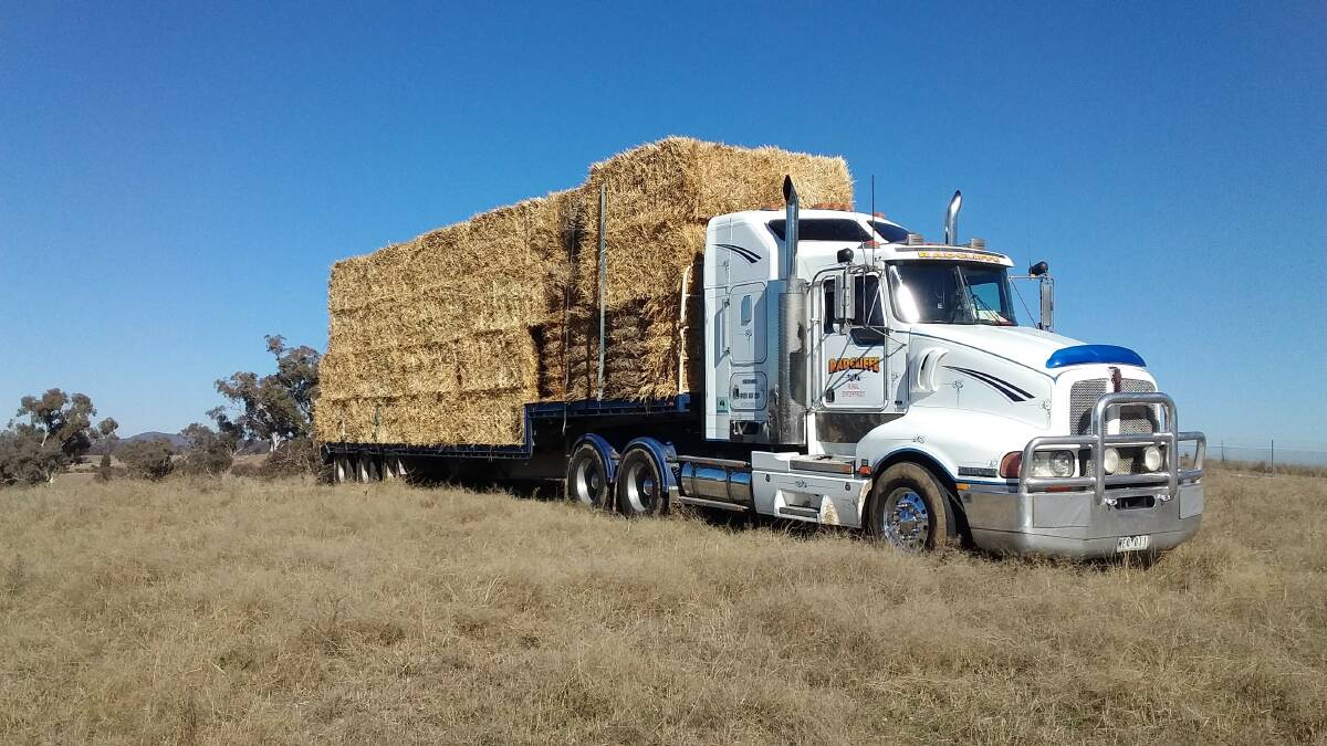 NOT MUCH LEFT: This is the 30th load of big squares of hay from Kerang, Victoria to the Bathurst/Blayney area. Supply from that source is just about exhausted.