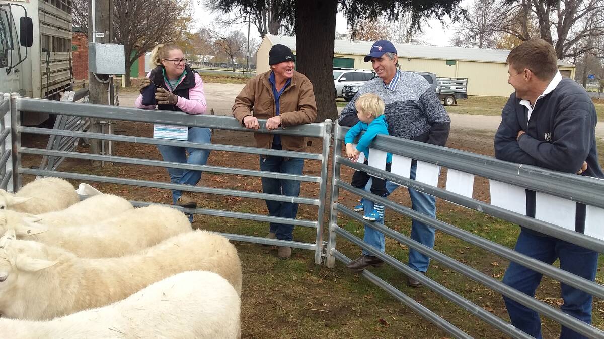 ON THE FENCE: Kirby McPhee, Derek Treanor, Col and Sam McPhee and Glyn Sargent at Sheep Week Bathurst.