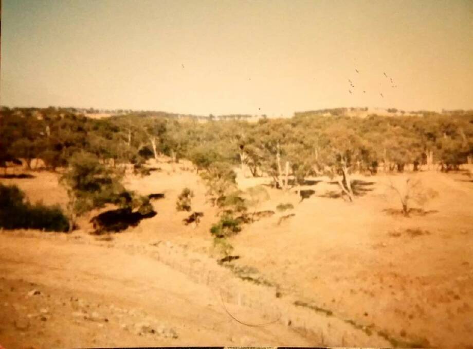 FLASHBACK: Drought in our district in 1982.