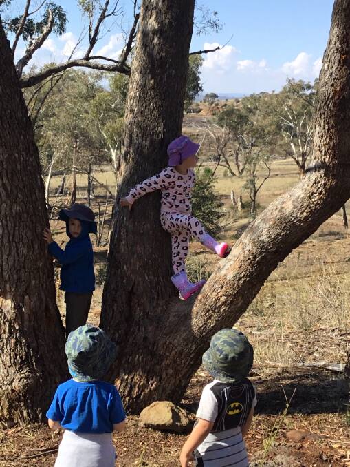 The bush becomes a classroom for daycare centre children