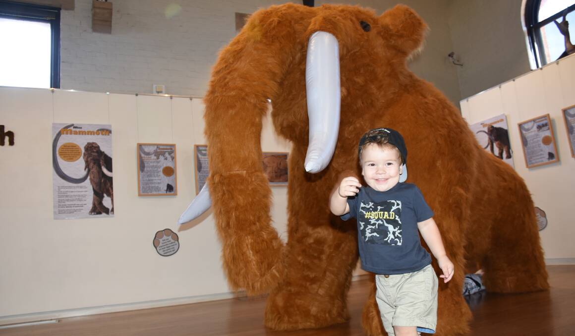 BIG AND SMALL: Landyn Howey, 2, at the Mini Mammoth exhibition at the Australian Fossil and Mineral Museum in February. Photo: NADINE MORTON 020818mammoth3