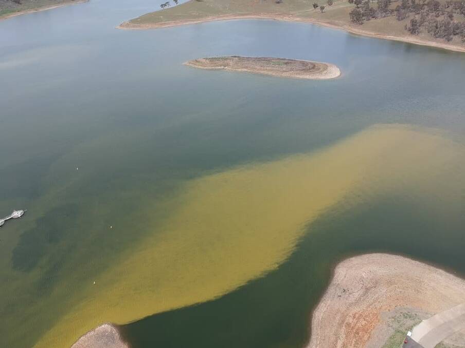 GREEN TINGE: Blue-green algae at Chifley Dam last year. The problem has returned this year. Photo: WAYNE COLE 092218algae5