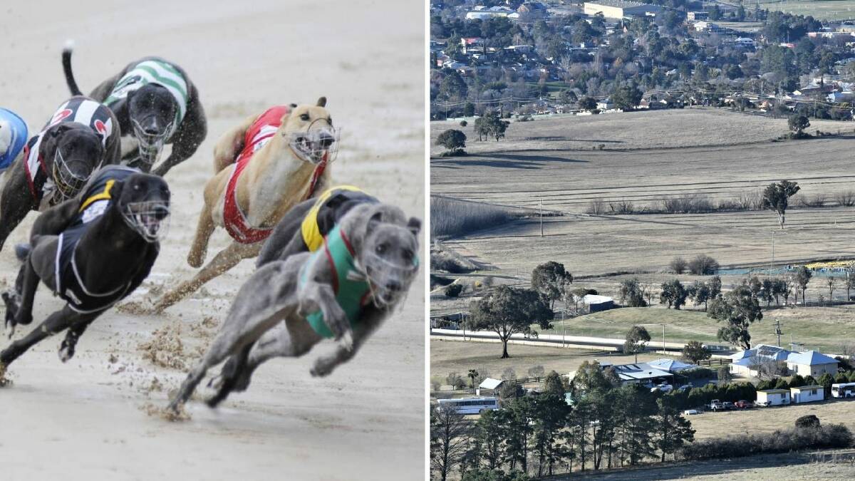 Member for Bathurst Paul Toole has previously suggested that a parcel of land in the Mount Panorama precinct (right) "would be ideal" for a greyhound racing development in the region.