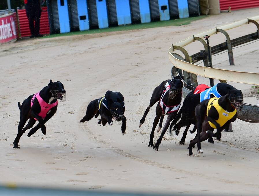 AROUND THE BEND: The Coalition for the Protection of Greyhounds has highlighted the injury rate at Bathurst's Kennerson Park. Photo: FILE