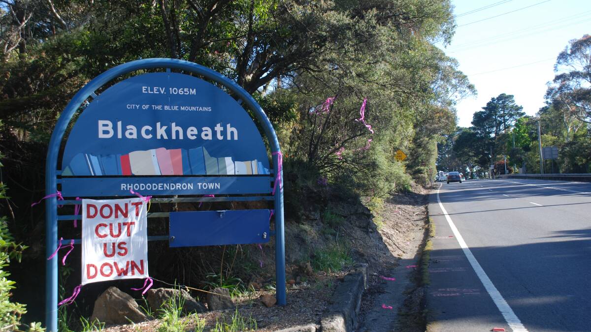 New plans from RMS will destroy the bushland approach to Blackheath