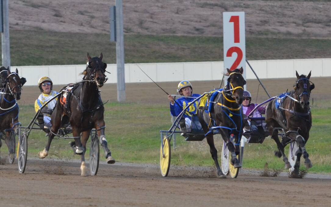 I'M COMING: Irish Grit (left), with Jason Grimson in the gig, charges down the home straight at the Bathurst Paceway in pursuit of favourite Captain Cosmonaut.