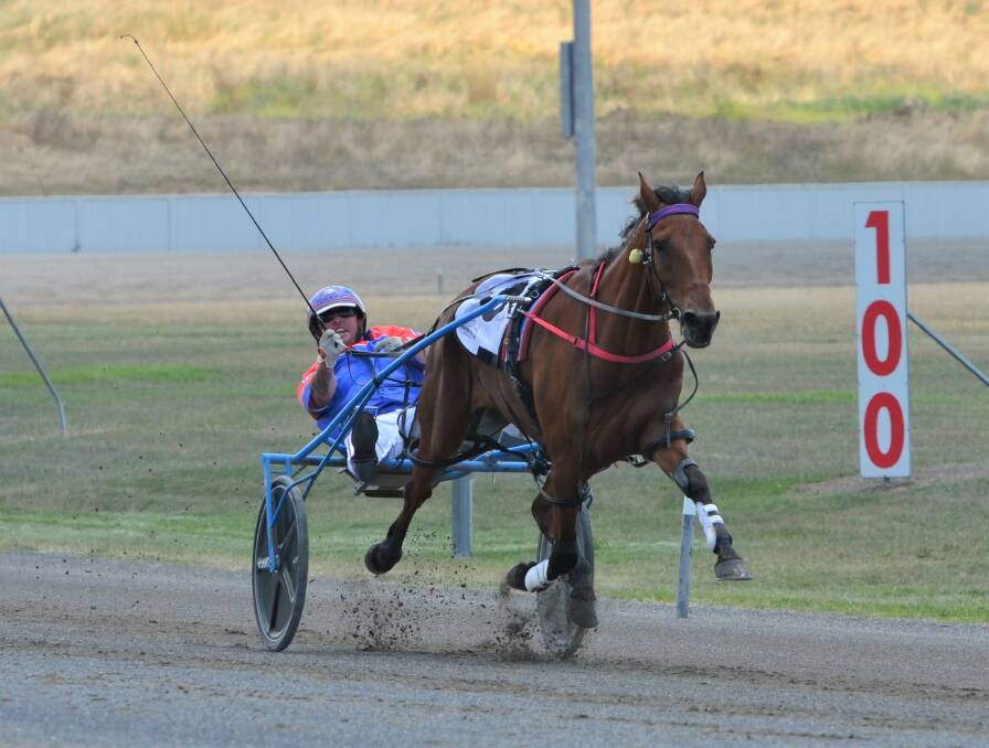 Harry Croft, with The Lagoon trainer-driver Nathan Turnbull in the gig, was too good for his rivals at the Bathurst Paceway on Friday. Picture by Anya Whitelaw