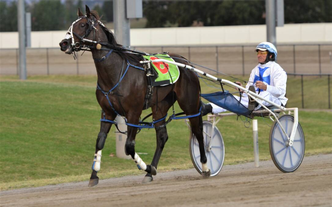 TAKE A BOW: Michael Munro drove Take Out to victory in his heat of the Gold Crown series on Friday night. Photos: ANAY WHITELAW