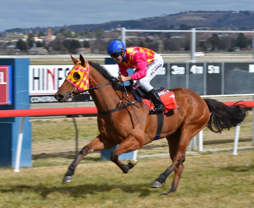 CLEAR WINNER: Bobby El-Issa guides Snitzagirl to a comfortable win at Tyers Parkl on Friday. Photo: ANYA WHITELAW