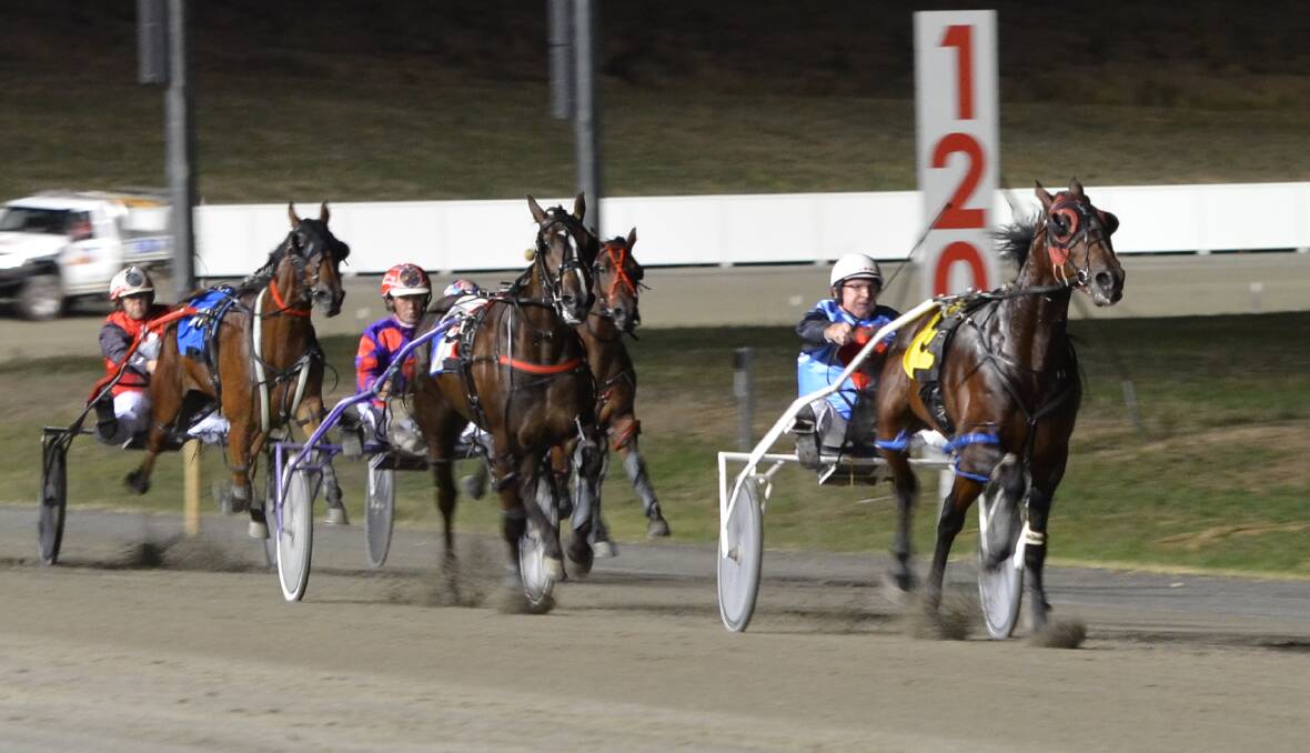 COMING HOME: Lithgow colt Castalong Shadow posted an all the way win in the opening Gold Crown heat. Photo: ANYA WHITELAW