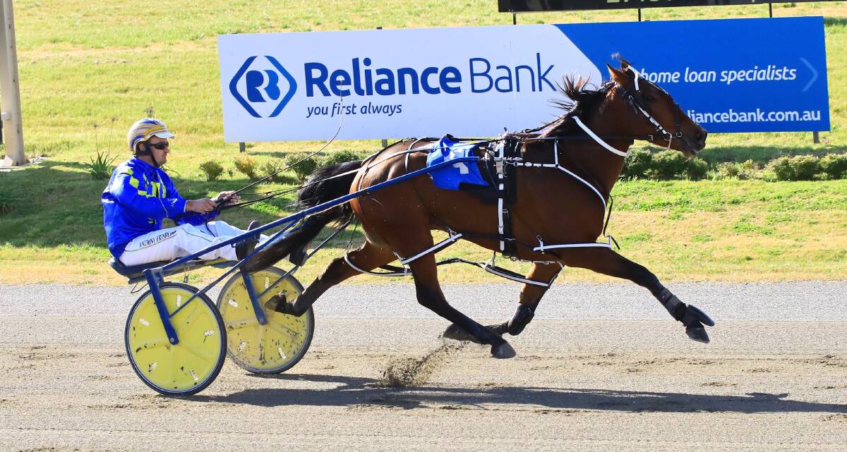 BRIGHT START: Holy Camp Dillon, with Anthony Frisby in the gig, won his first race for Bathurst trainer John Boserio. He will line up again on Wednesday night. Photo: COFFEE PHOTOGRAPHY AND FRAMING