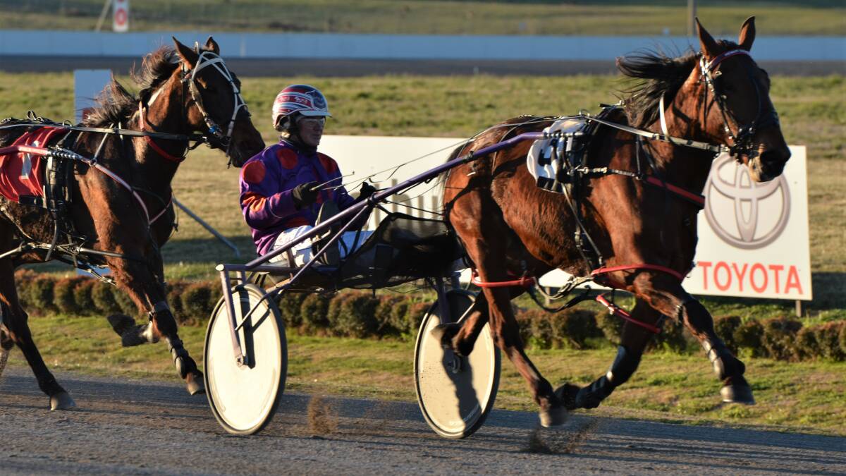 CRUISING ALONG: Iamajoyride did it in style for Bernie Hewitt on Wednesday night, taking it easy ealry before blazing home. Photo: ANYA WHITELAW