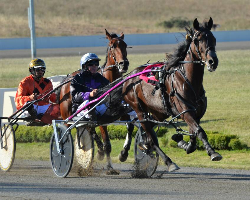 John O'Shea drove the John Lew trained All Spruced Up to her maiden win on Wednesday night. Photo: ANYA WHITELAW