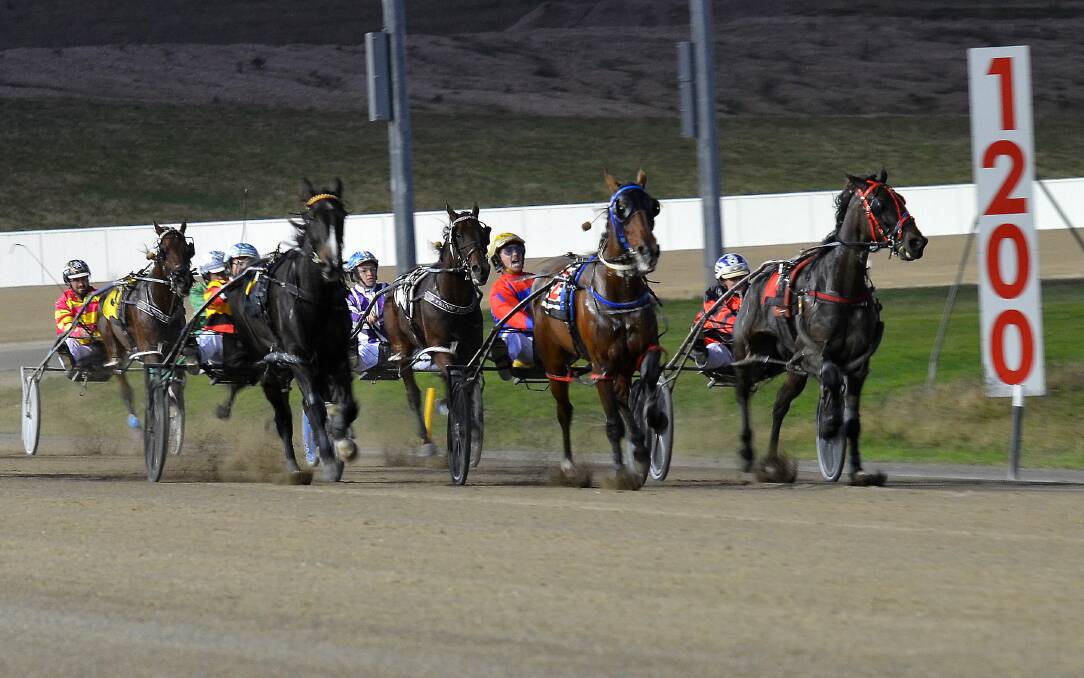 GOOD BATTLE: Jason Grimson urges Theartofinfusion (#2) to give down the home straight at the Bathurst Paceway. He went on to win by a half-head in an exciting finish. Photo: ANYA WHITELAW