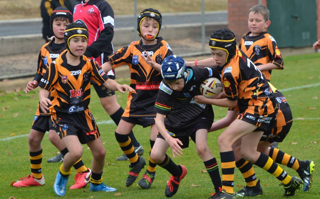LITLLE LEGENDS: The Oberon Tigers and Bathurst Panthers under 9s produced some excellent action in their match at Carrington Park. Photos: ANYA WHITELAW