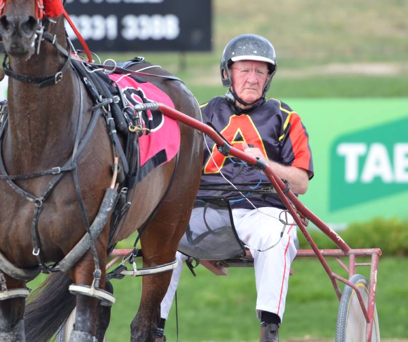 HE'S BACK: Colin McDowell will drive Pikarso in the Gold Crown heats.