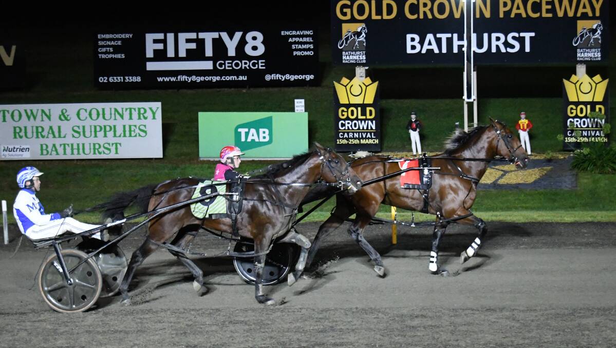Chart Topper wins the 2023 Bathurst Gold Crown Final ahead of favourite Timmy Rictor. Picture by Chris Seabrook